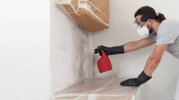 Attic Mold Remediation treatment on roof deck in East Earl