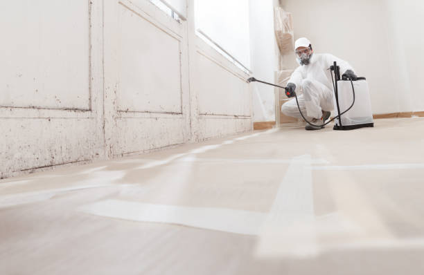 Black mold remediation team in East Earl